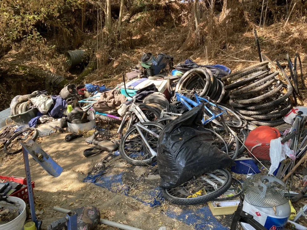 Professional garden landscaping in San Luis Obispo, CA - 2 Mexicans Junk Removal