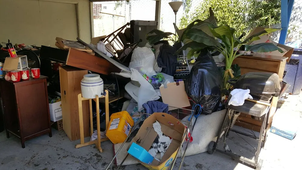 Professional landscaping services in San Luis Obispo, CA - 2 Mexicans Junk Removal