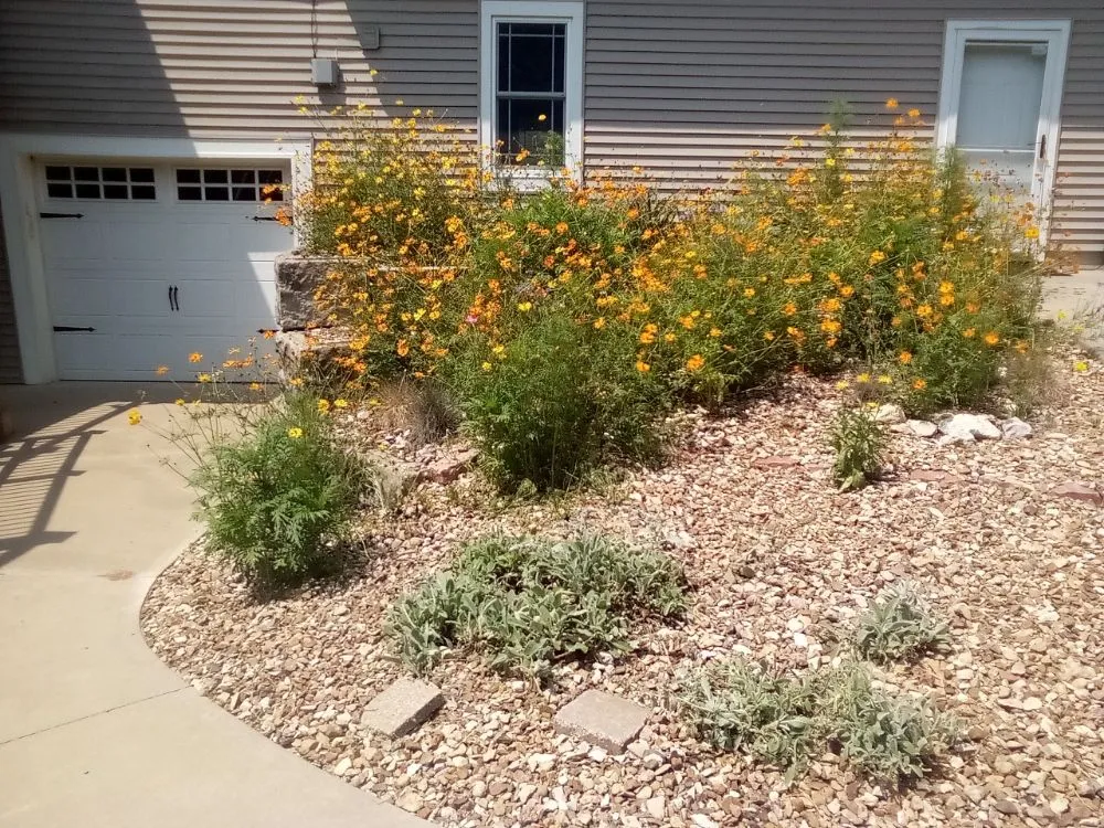 Professional lawn care service for beautiful yards across Lawrence, KS - 2 Mikes' Lawn and Landscape