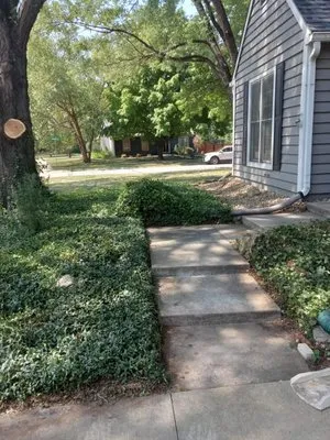 2 Mikes' Lawn and Landscape Logo