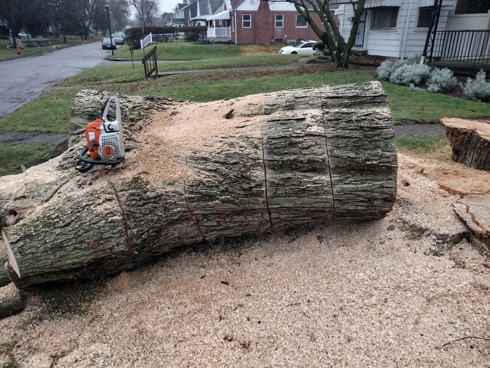 Reliable lawn care service experts serving Columbus, OH - 2 Neighbors & a Lawnmower