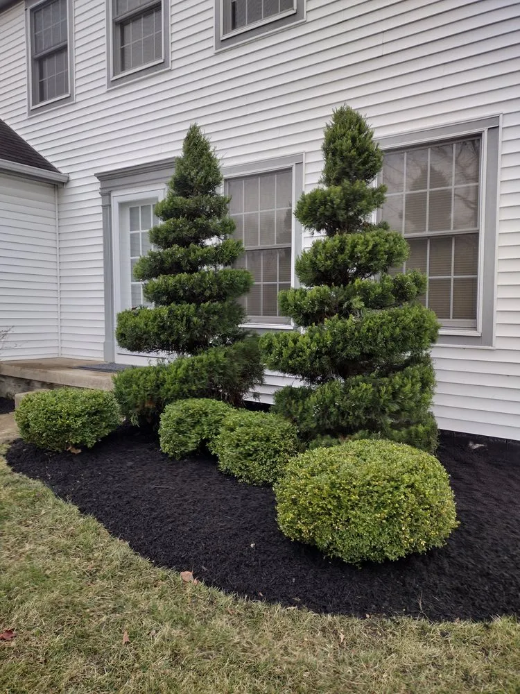 Affordable landscape design for beautiful yards in Columbus, OH by 2 Neighbors & a Lawnmower