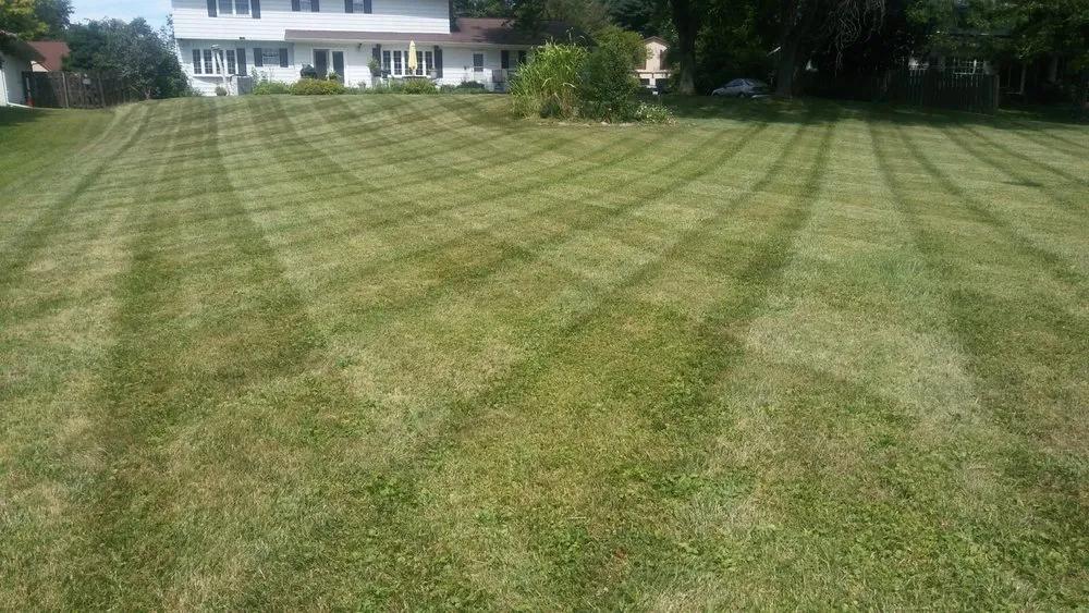 Local lawn mowing service experts serving Columbus, OH - 2 Neighbors & a Lawnmower