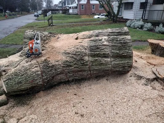 2 Neighbors & a Lawnmower Logo