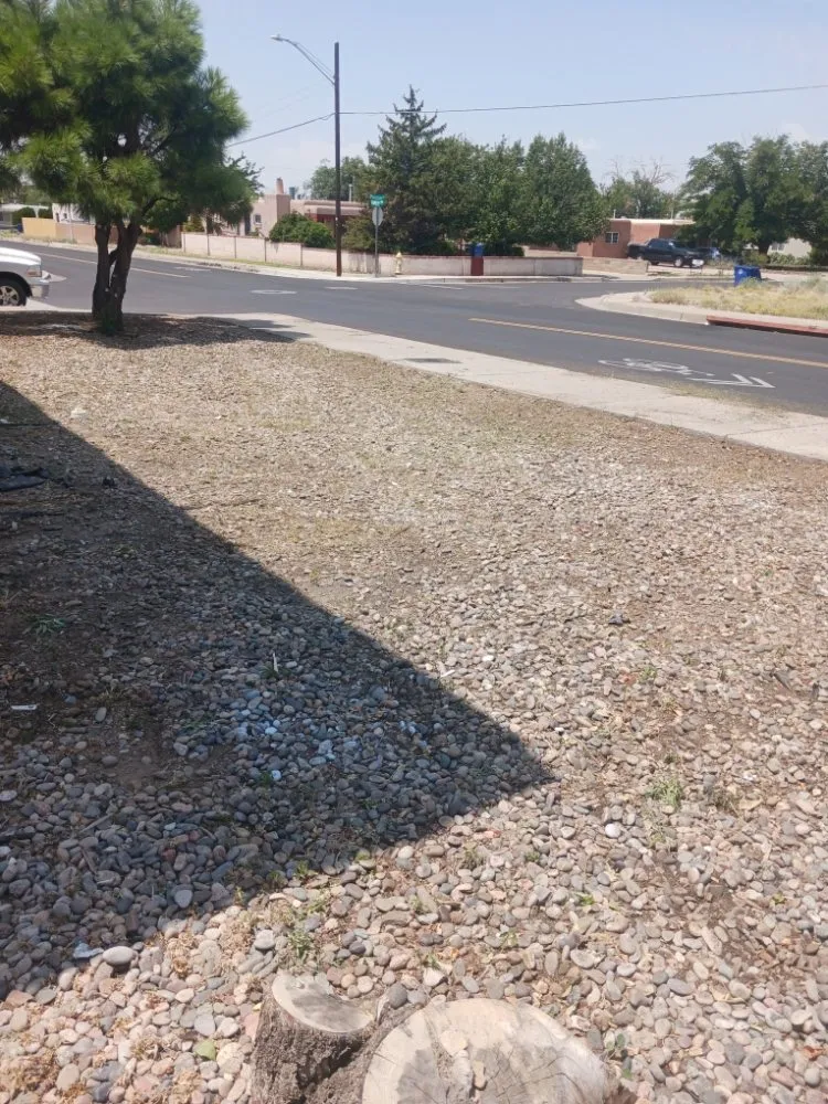 Expert lawn care service in Albuquerque, NM by 2 Neighbors Work