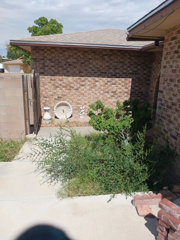 Top-rated yard cleanup service in Albuquerque, NM - 2 Neighbors Work