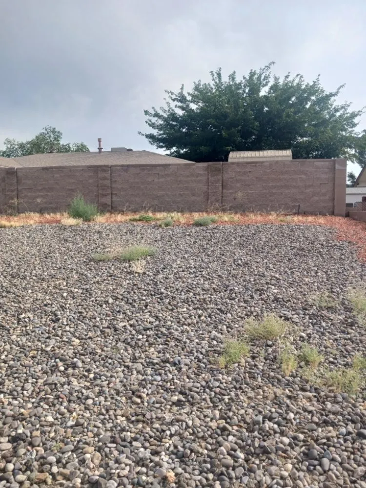 Expert yard maintenance in Albuquerque, NM - 2 Neighbors Work
