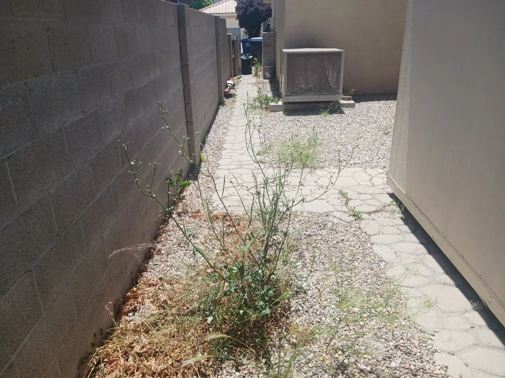 Custom lawn mowing service in Albuquerque, NM - 2 Neighbors Work