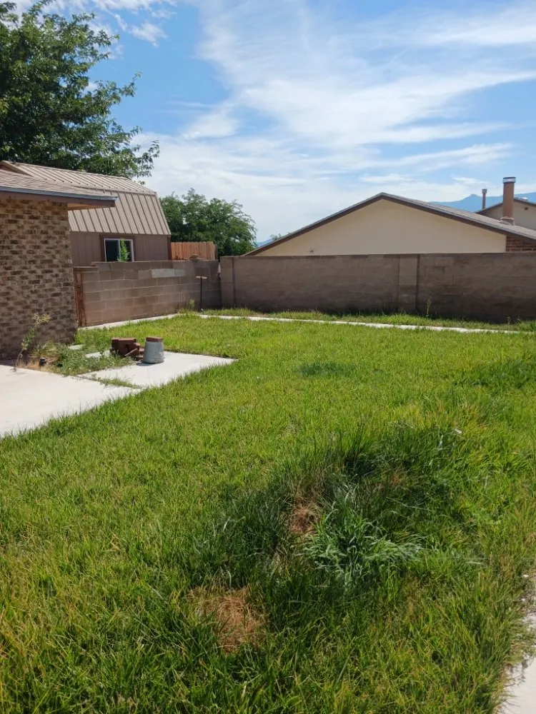 Expert yard cleanup service experts serving Albuquerque, NM - 2 Neighbors Work