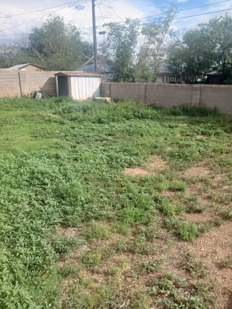 Reliable yard cleanup service in Albuquerque, NM by 2 Neighbors Work