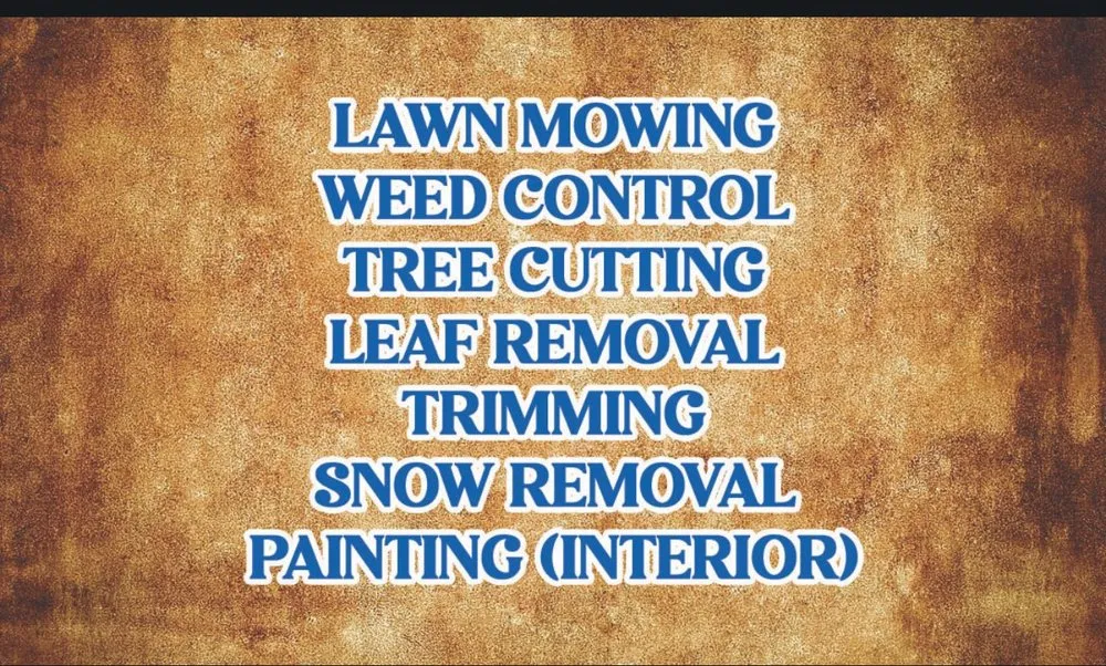 Trusted yard maintenance experts serving Albuquerque, NM - 2 Neighbors Work