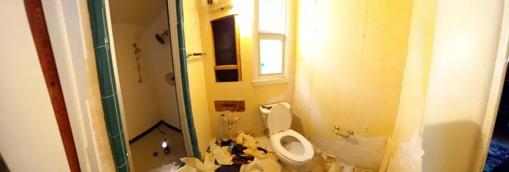 Trusted yard maintenance experts serving Sarasota, FL - 2 No Limit Handyman Services