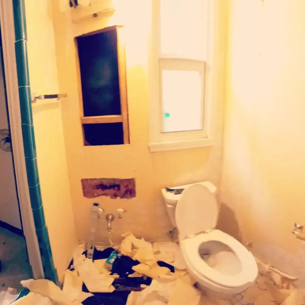 Reliable outdoor landscaping in Sarasota, FL - 2 No Limit Handyman Services