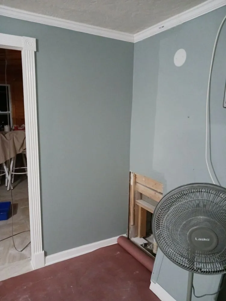 Trusted yard cleanup service in Sarasota, FL by 2 No Limit Handyman Services