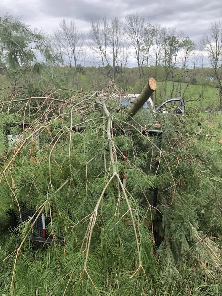 Top-rated yard cleanup service with custom design in Cochecton, NY by 2 Super Coots