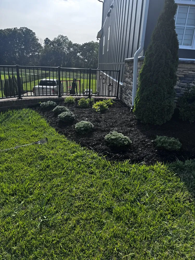 Professional landscaping services experts serving Spring Hill, TN - 2 Teens And A Yard
