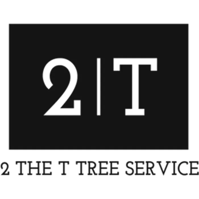 Trusted lawn care service for outdoor upgrades in Columbia, TN by 2 The T Tree Service