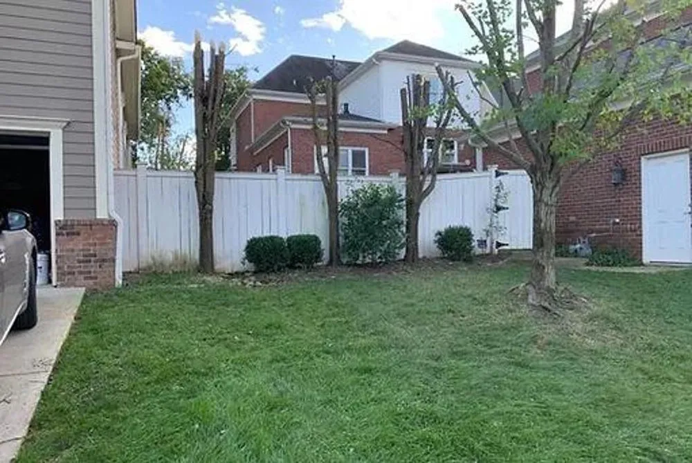 Affordable garden landscaping for year-round maintenance across Columbia, TN - 2 The T Tree Service