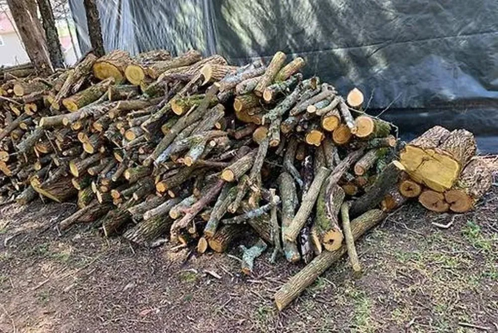 Professional yard cleanup service for residential properties in Columbia, TN by 2 The T Tree Service