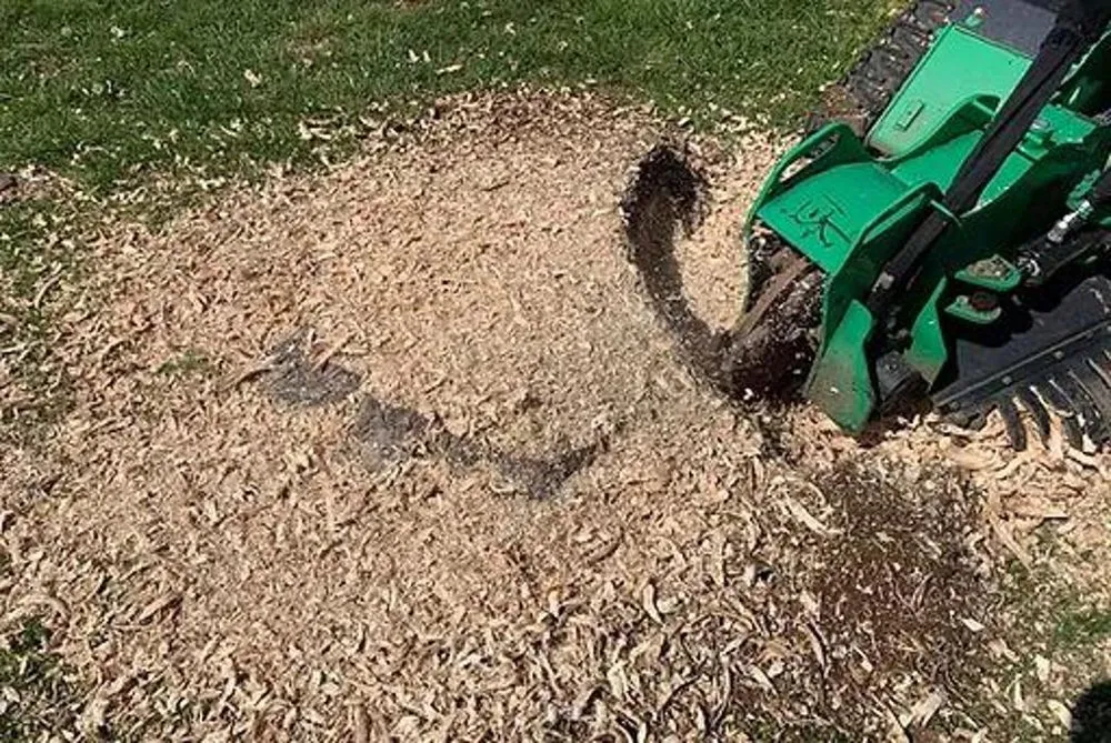 Expert outdoor landscaping for beautiful yards in Columbia, TN by 2 The T Tree Service