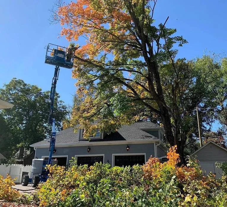 Expert landscaping services for beautiful yards across Columbia, TN - 2 The T Tree Service