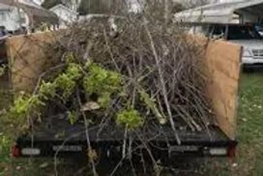 Local yard maintenance for beautiful yards in Columbia, TN by 2 The T Tree Service