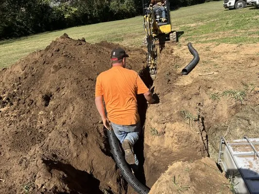 2 The T Tree Service