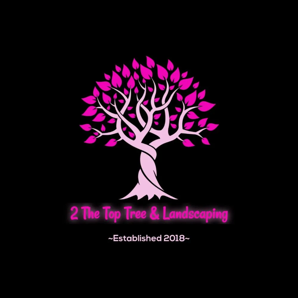 Expert lawn mowing service for year-round maintenance across Lynchburg, VA - 2 The Top Tree & Landscaping