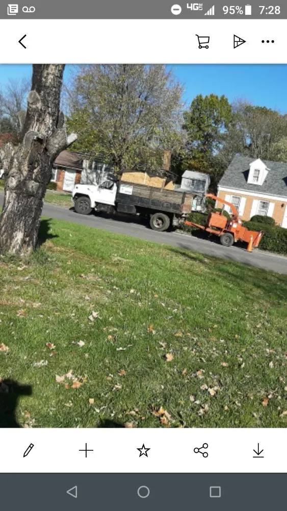 Custom yard cleanup service near you in Lynchburg, VA by 2 The Top Tree & Landscaping