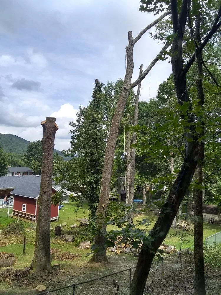 Expert landscaping services for year-round maintenance in Lynchburg, VA by 2 The Top Tree & Landscaping