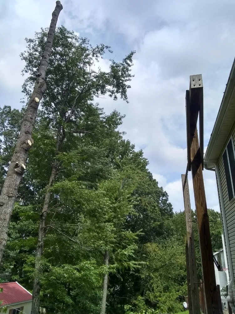 Local garden landscaping for beautiful yards in Lynchburg, VA by 2 The Top Tree & Landscaping