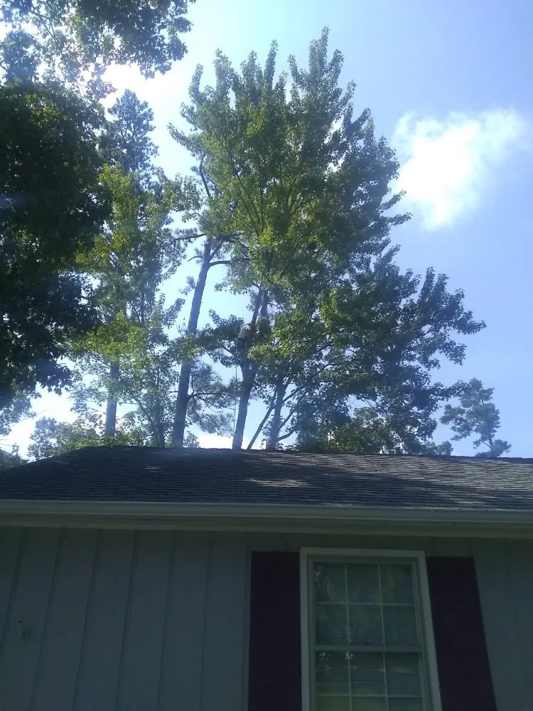 Trusted landscape design in Lynchburg, VA - 2 The Top Tree & Landscaping