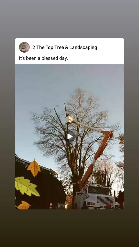 Top-rated yard cleanup service near you across Lynchburg, VA - 2 The Top Tree & Landscaping