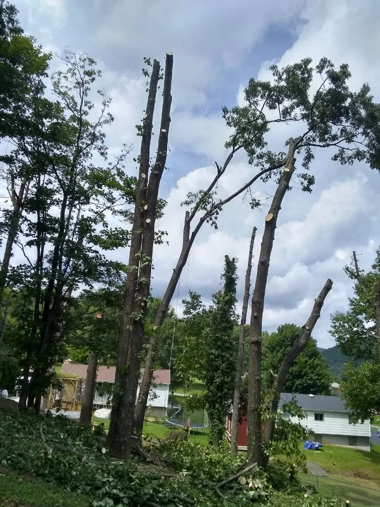 Reliable yard cleanup service in Lynchburg, VA by 2 The Top Tree & Landscaping