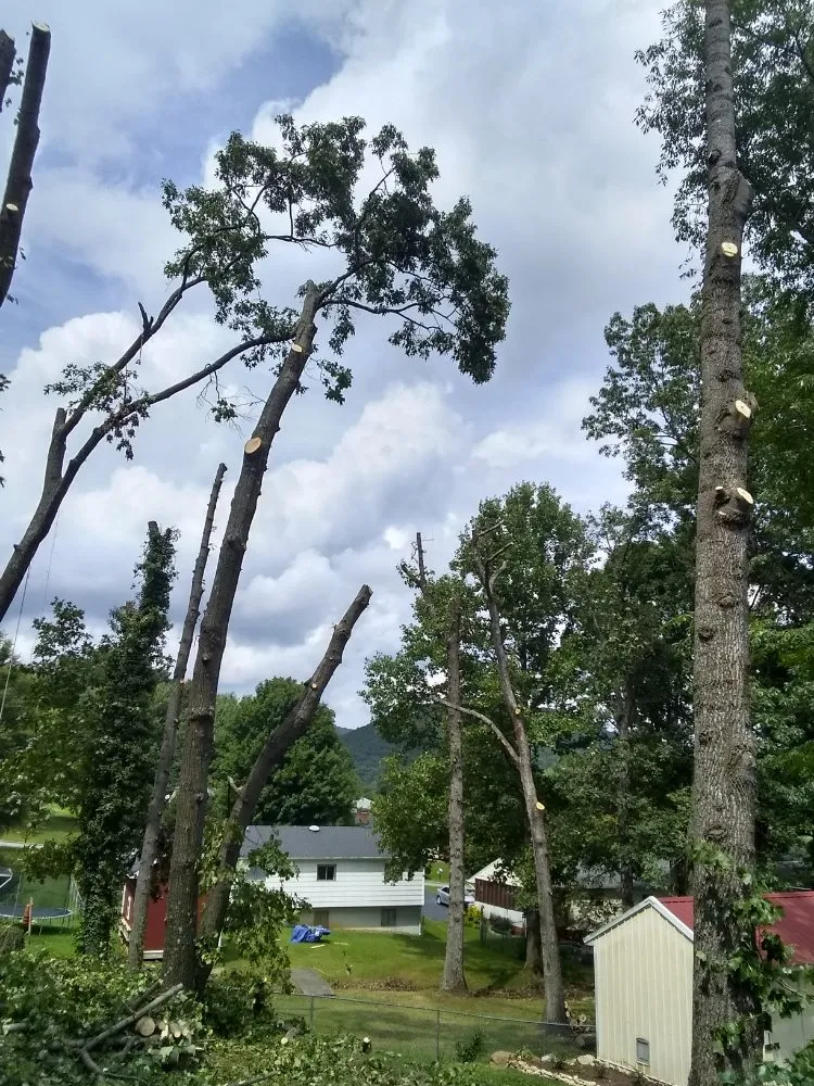 Local outdoor landscaping in Lynchburg, VA by 2 The Top Tree & Landscaping