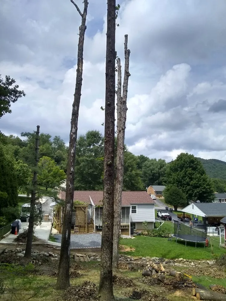 Expert residential landscaping for year-round maintenance in Lynchburg, VA by 2 The Top Tree & Landscaping