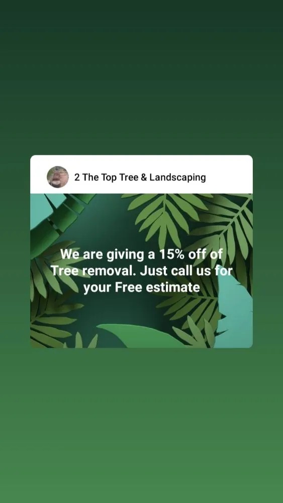 Affordable yard cleanup service in Lynchburg, VA by 2 The Top Tree & Landscaping