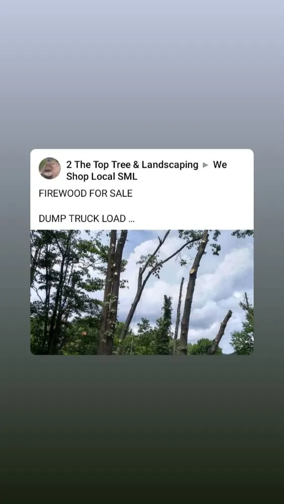 Trusted landscape design for residential properties in Lynchburg, VA by 2 The Top Tree & Landscaping