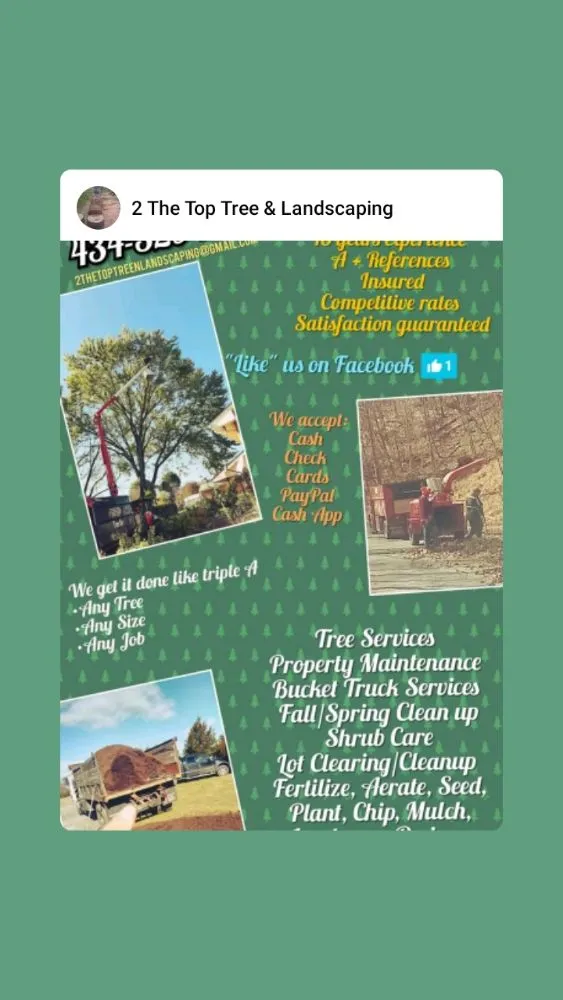 Trusted landscaping services for year-round maintenance across Lynchburg, VA - 2 The Top Tree & Landscaping