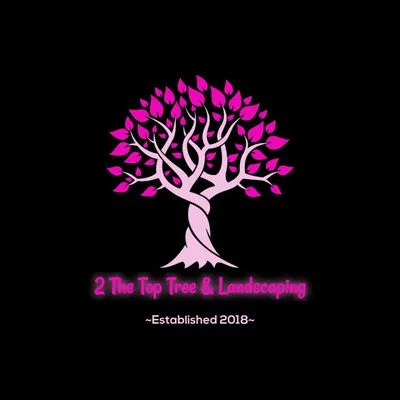 2 The Top Tree & Landscaping Logo