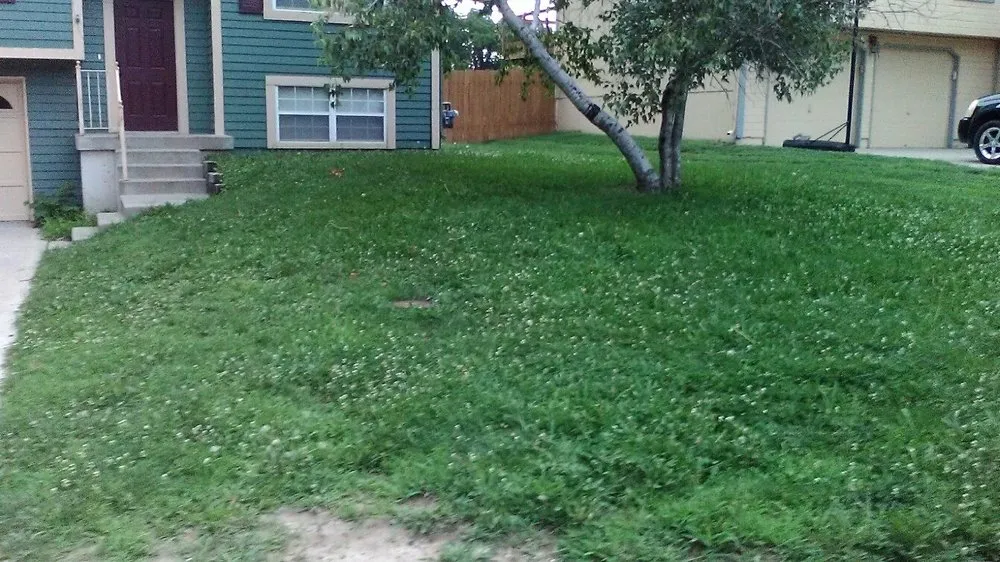 Custom yard cleanup service in Kansas City, MO - 2 Things Lawn Care