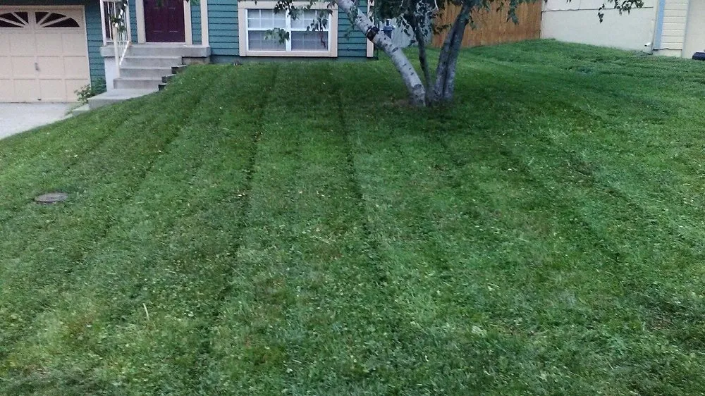 Affordable lawn mowing service with custom design in Kansas City, MO by 2 Things Lawn Care