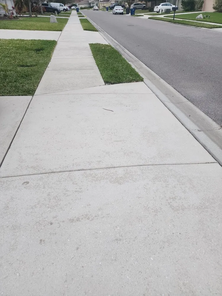 Custom yard cleanup service in Parrish, FL - 2 Vets Power Washing