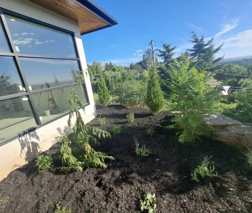 Professional lawn care service in Boise City, ID by 2 Vision Services