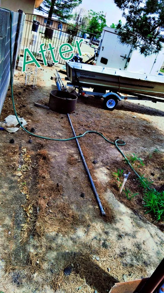 Trusted lawn care service in Deming, NM - 20 Tress Landspcape