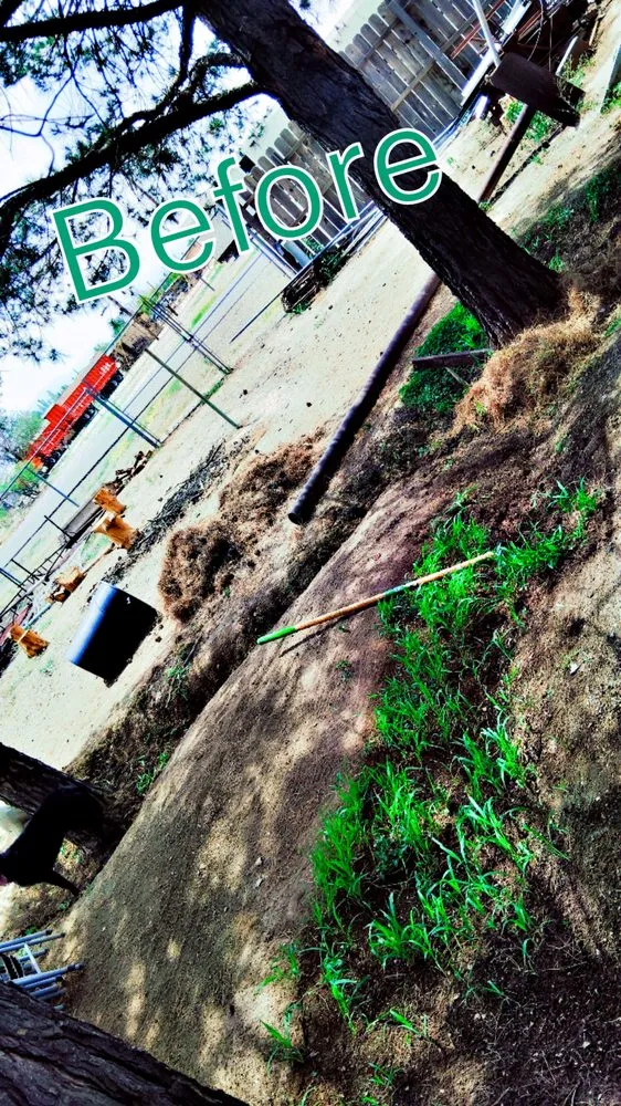 Reliable landscaping services in Deming, NM by 20 Tress Landspcape