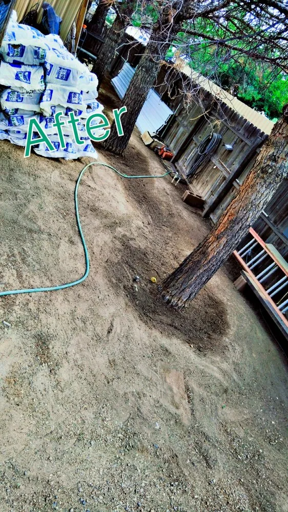Expert yard maintenance near you across Deming, NM - 20 Tress Landspcape