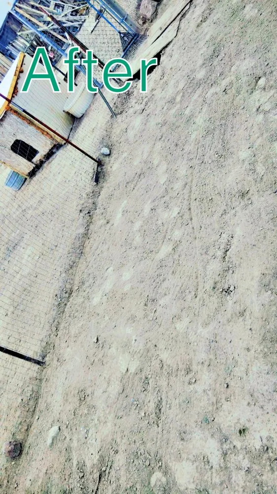 Professional yard maintenance in Deming, NM by 20 Tress Landspcape