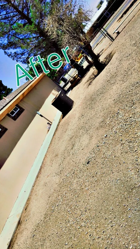 Expert outdoor landscaping in Deming, NM - 20 Tress Landspcape