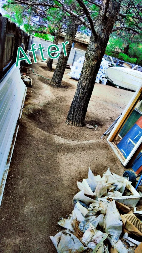 Affordable lawn mowing service experts serving Deming, NM - 20 Tress Landspcape